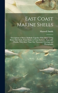 Front cover_East Coast Marine Shells