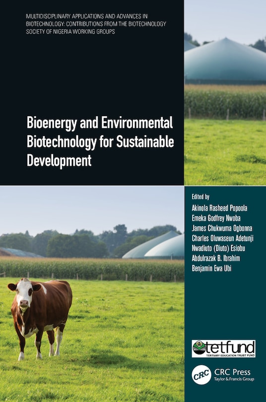 Couverture_Bioenergy and Environmental Biotechnology for Sustainable Development
