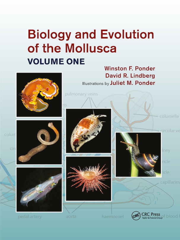 Front cover_Biology And Evolution Of The Mollusca, Volume 1