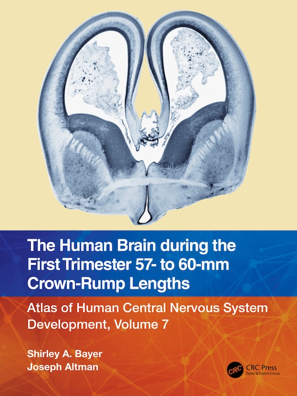 Couverture_The Human Brain during the First Trimester 57- to 60-mm Crown-Rump Lengths