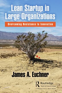 Front cover_Lean Startup In Large Organizations