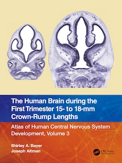 Front cover_The Human Brain during the First Trimester 15- to 18-mm Crown-Rump Lengths