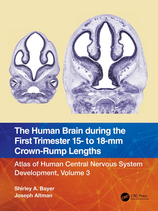 Front cover_The Human Brain during the First Trimester 15- to 18-mm Crown-Rump Lengths