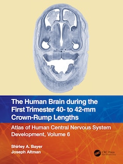 Couverture_Human Brain during the First Trimester 40- to 42-mm Crown-Rump Lengths