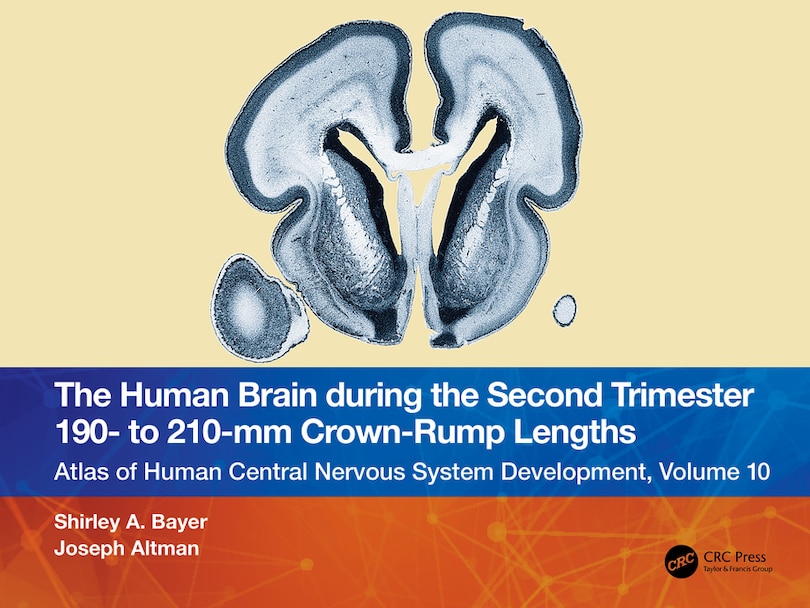 Front cover_The Human Brain during the Second Trimester 190- to 210-mm Crown-Rump Lengths