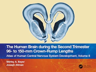 Couverture_The Human Brain during the Second Trimester 96- to 150-mm Crown-Rump Lengths