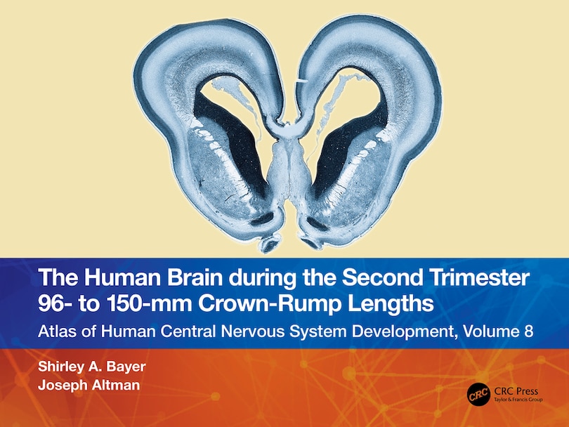 Couverture_The Human Brain during the Second Trimester 96- to 150-mm Crown-Rump Lengths