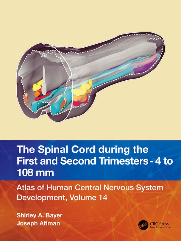 Couverture_The Spinal Cord during the First and Early Second Trimesters 4- to 108-mm Crown-Rump Lengths
