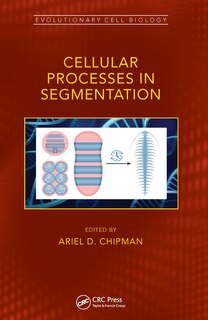 Couverture_Cellular Processes In Segmentation