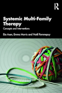 Front cover_Systemic Multi-Family Therapy