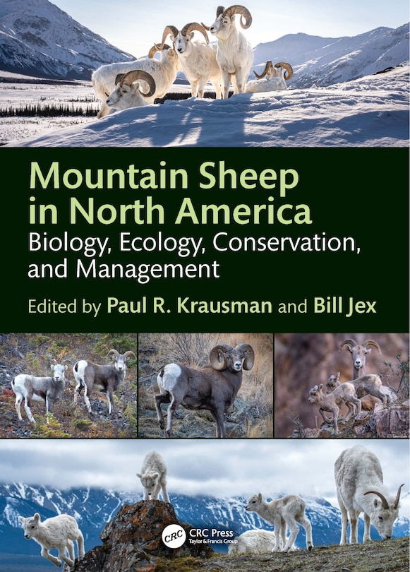 Couverture_Mountain Sheep in North America