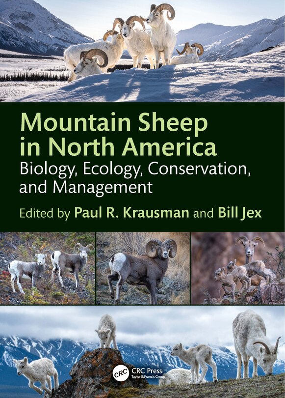 Couverture_Mountain Sheep in North America