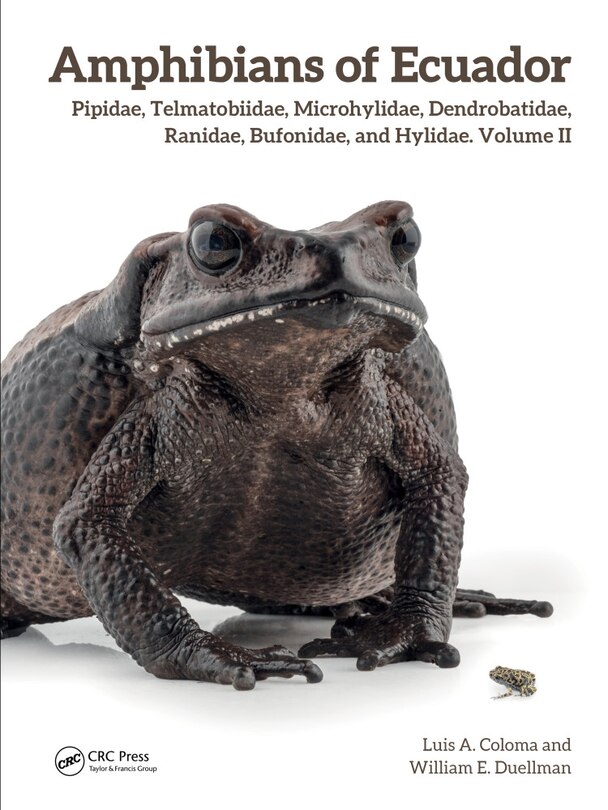 Front cover_Amphibians of Ecuador