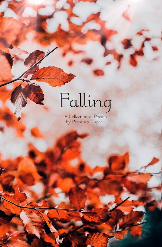 Couverture_Falling