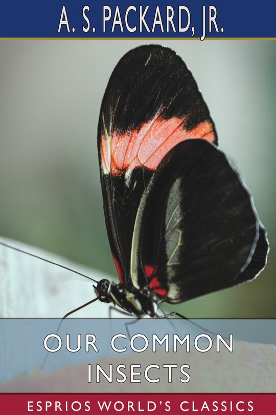 Front cover_Our Common Insects (Esprios Classics)