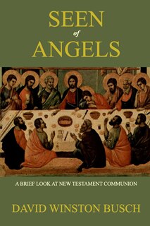 Front cover_Seen of Angels