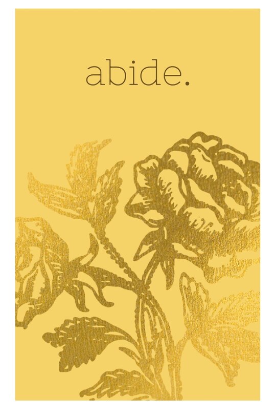 Front cover_Abide.