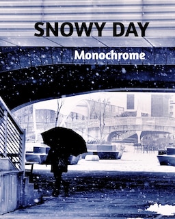 SNOWY DAY -Monochrome