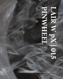 Front cover_LAIR W pX 015 Pinwheel