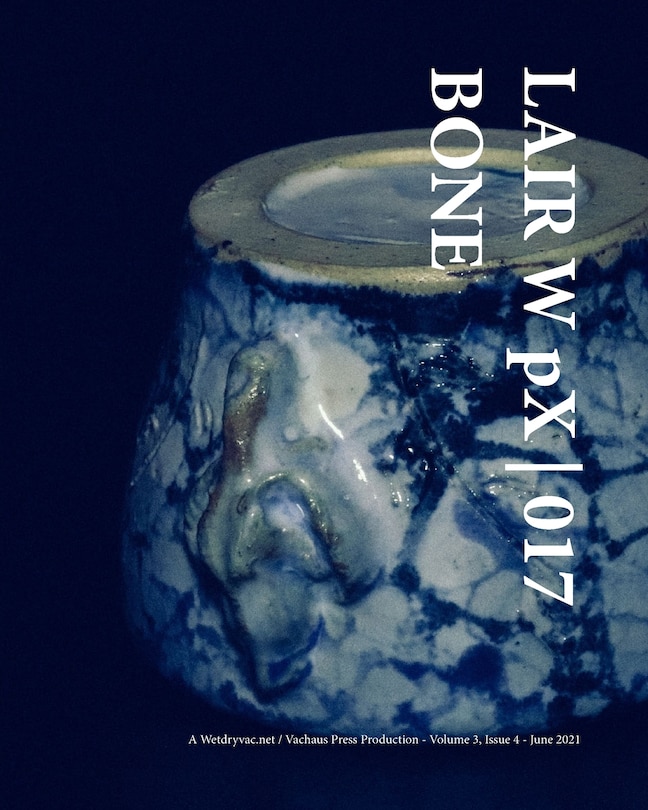 Couverture_LAIR W pX 017 Bone