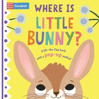 Couverture_Where Is Little Bunny?