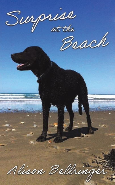Front cover_Surprise at the Beach