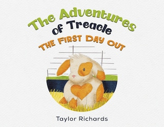 Front cover_The Adventures of Treacle