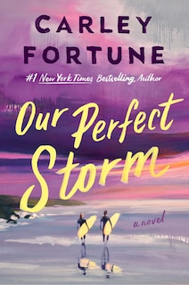 Front cover_Our Perfect Storm