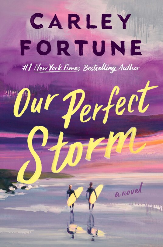 Front cover_Our Perfect Storm