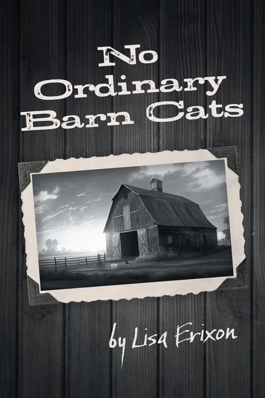 Front cover_No Ordinary Barn Cats
