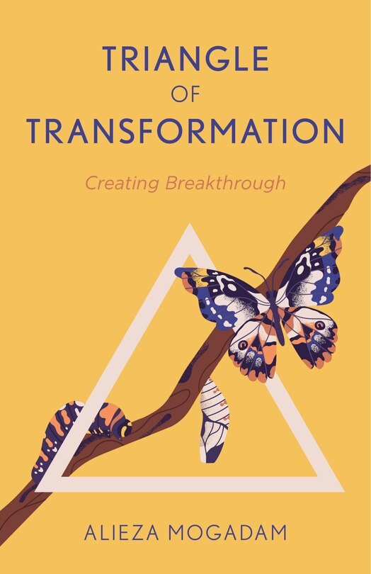Front cover_Triangle of Transformation