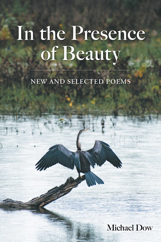 Couverture_In the Presence of Beauty