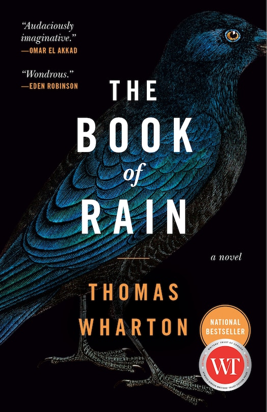 Front cover_The Book of Rain