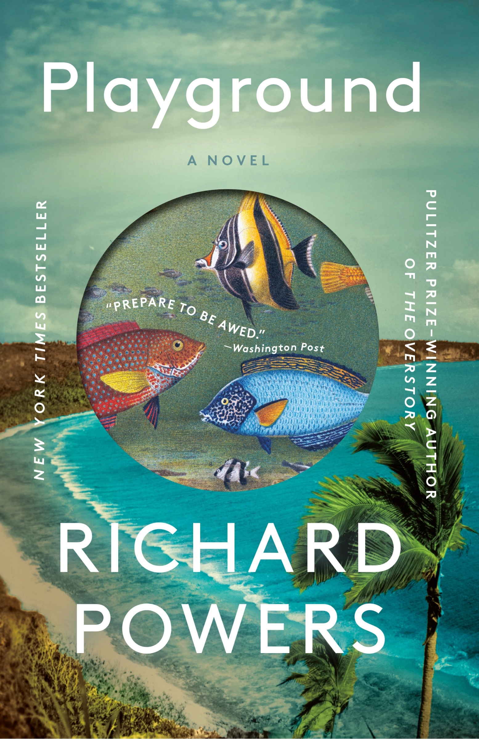Playground: A Novel Book By Richard Powers, ('tp') | Indigo