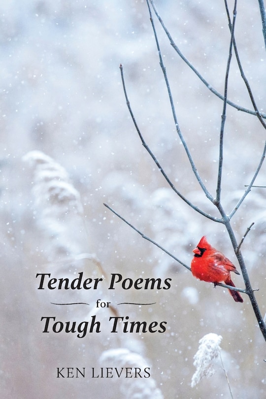 Couverture_Tender Poems For Tough Times