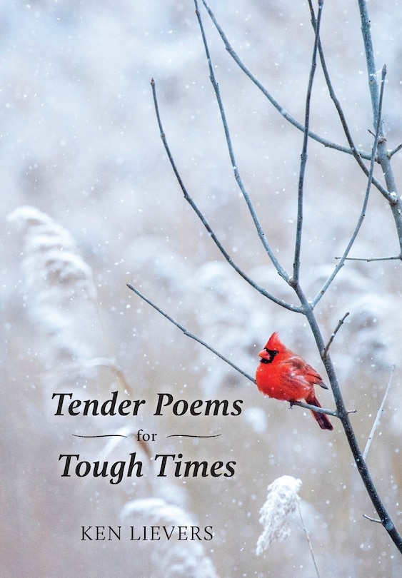 Tender Poems For Tough Times