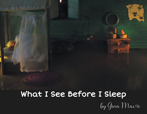 Front cover_What I See Before I Sleep