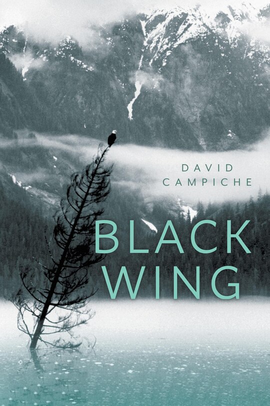 Couverture_Black Wing