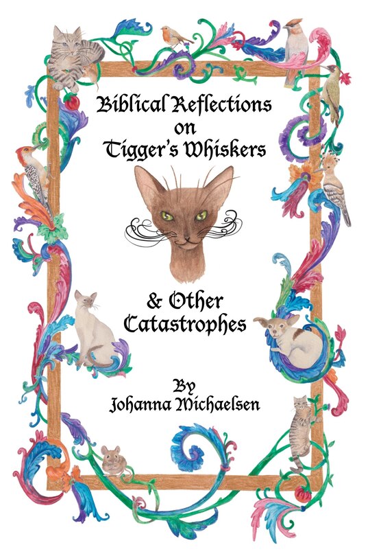 Couverture_Biblical Reflections on Tigger's Whiskers and Other Catastrophes