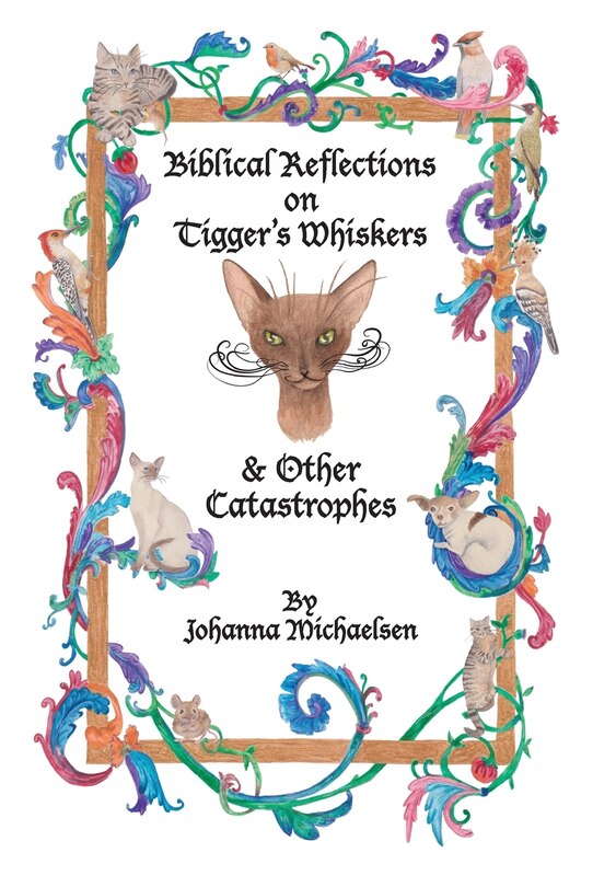 Front cover_Biblical Reflections on Tigger's Whiskers and Other Catastrophes