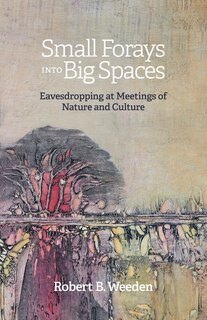 Front cover_Small Forays Into Big Spaces