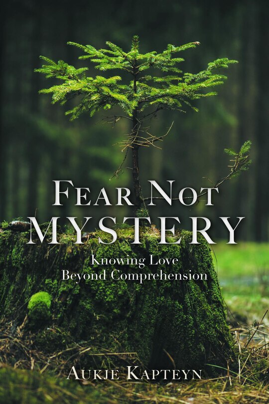 Front cover_Fear Not Mystery