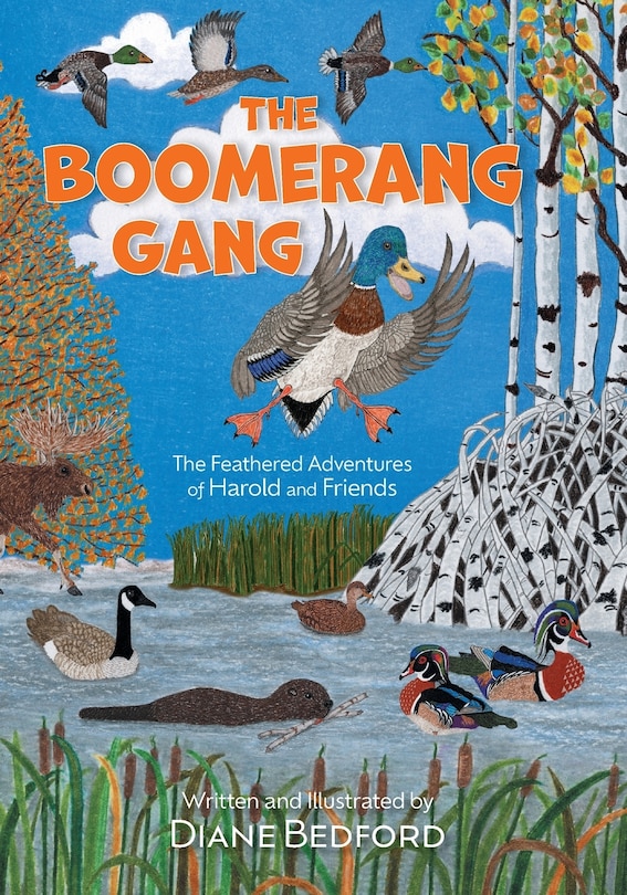 Front cover_The Boomerang Gang