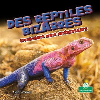 Couverture_Des Reptiles Bizarres Effrayants Mais Intéressants (Creepy But Cool Weird Reptiles)