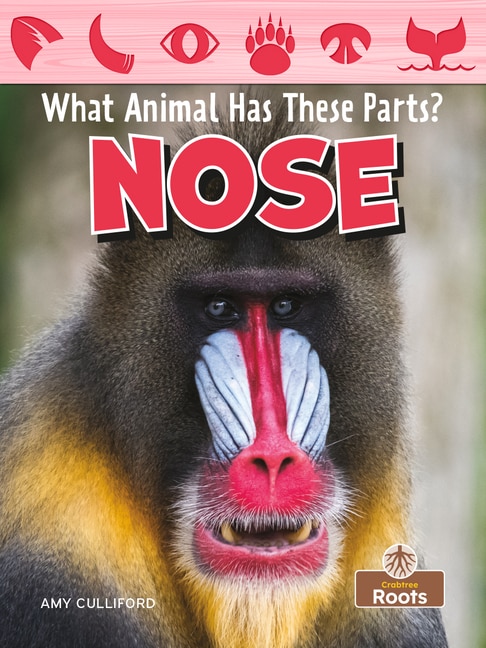 Front cover_Nose