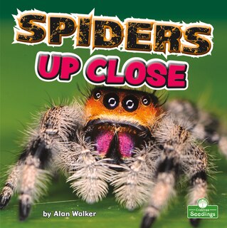 Front cover_Spiders Up Close