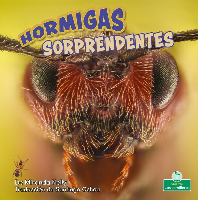 Couverture_Hormigas Sorprendentes (Amazing Ants)
