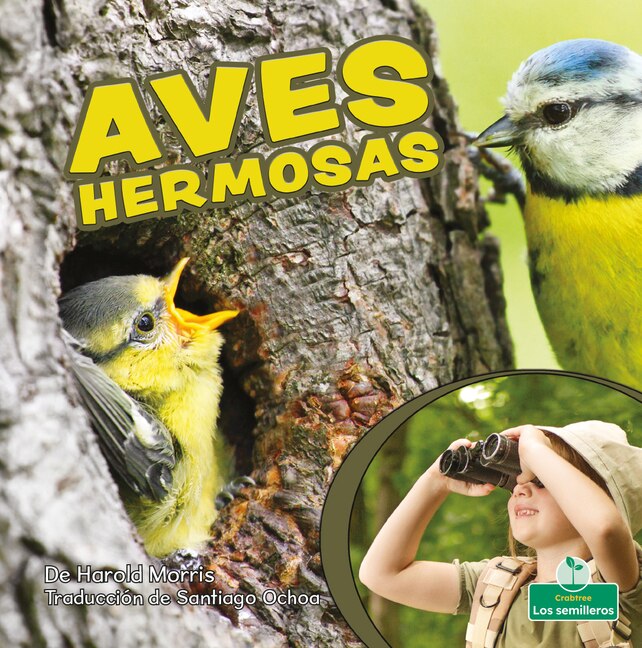 Front cover_Aves Hermosas (Beautiful Birds)