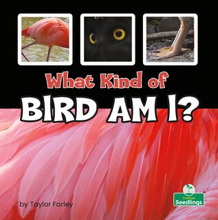 Front cover_What Kind of Bird Am I?