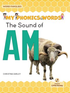 Front cover_The Sound of Am